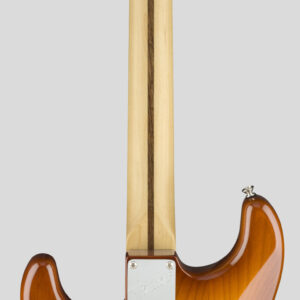 Fender American Performer Stratocaster Honey Burst 2