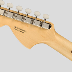 Fender American Performer Stratocaster Honey Burst 6
