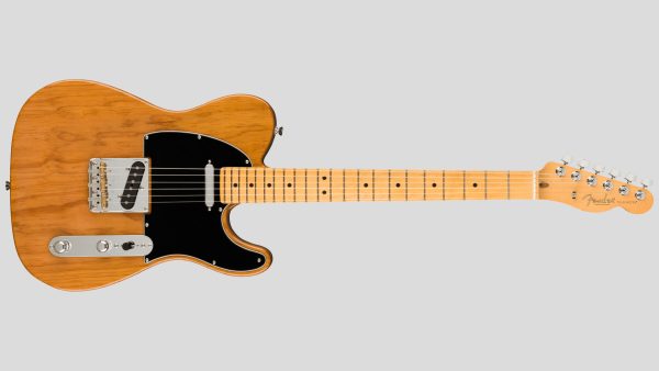 Fender American Pro II Tele Roasted Pine 0113942763 Made in Usa inclusa custodia rigida Fender