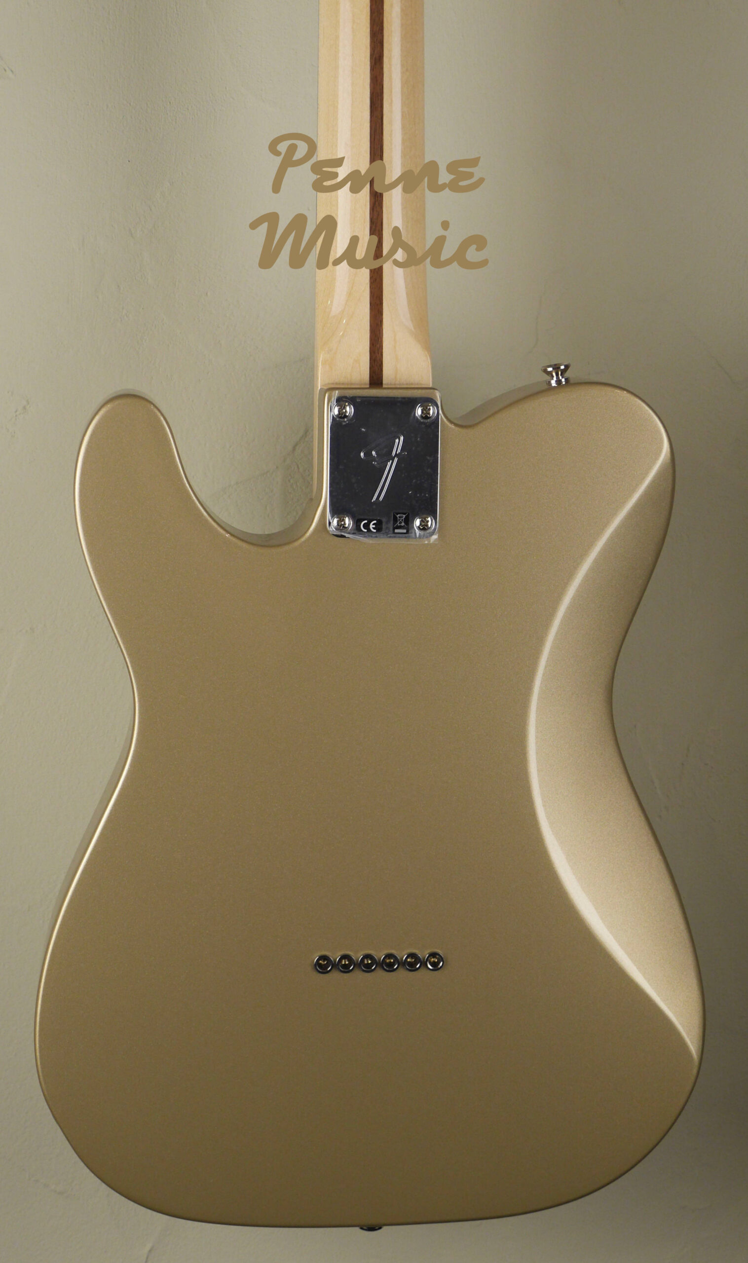Fender Chris Shiflett Telecaster Deluxe Shoreline Gold 5