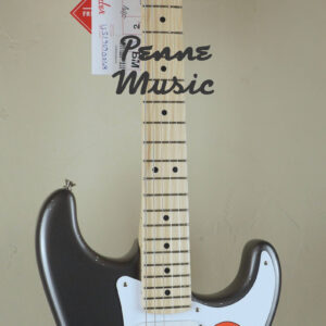 Fender Eric Clapton Stratocaster Pewter 2