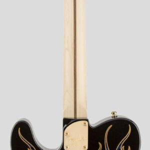 Fender James Burton Telecaster Blue Paisley Flames 2