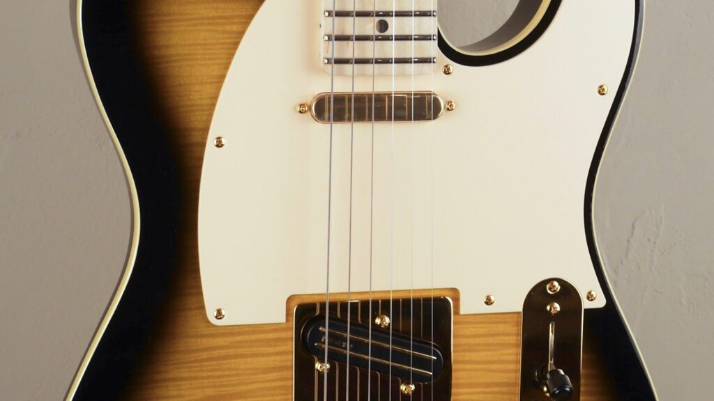 Fender Richie Kotzen Telecaster Brown Sunburst 0255202532 Made in Japan custodia Fender omaggio