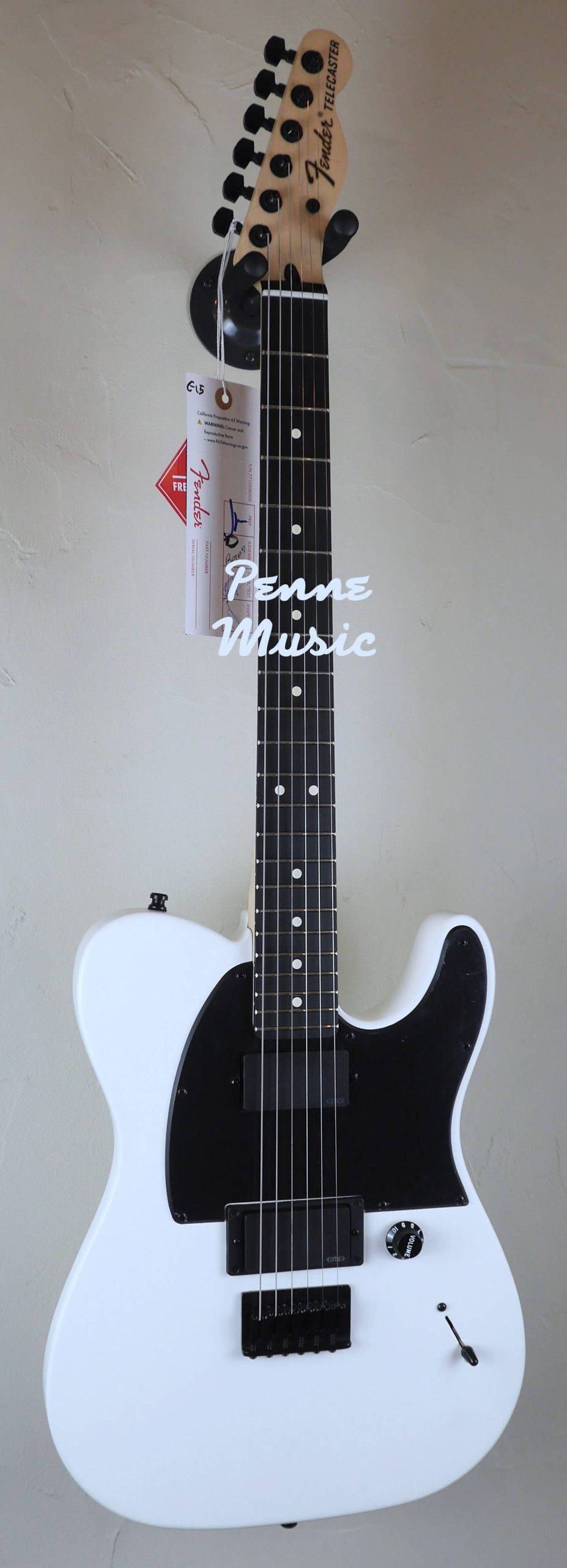 Fender Jim Root Telecaster Flat White 2