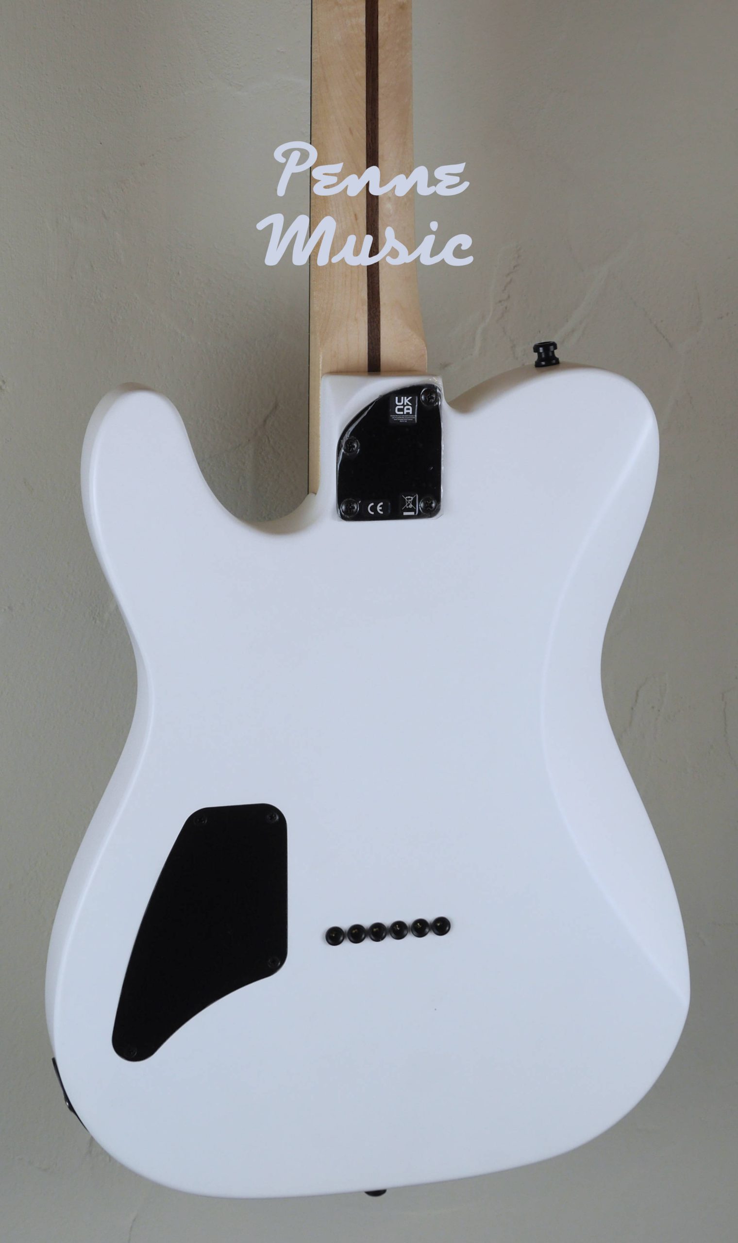 Fender Jim Root Telecaster Flat White 5