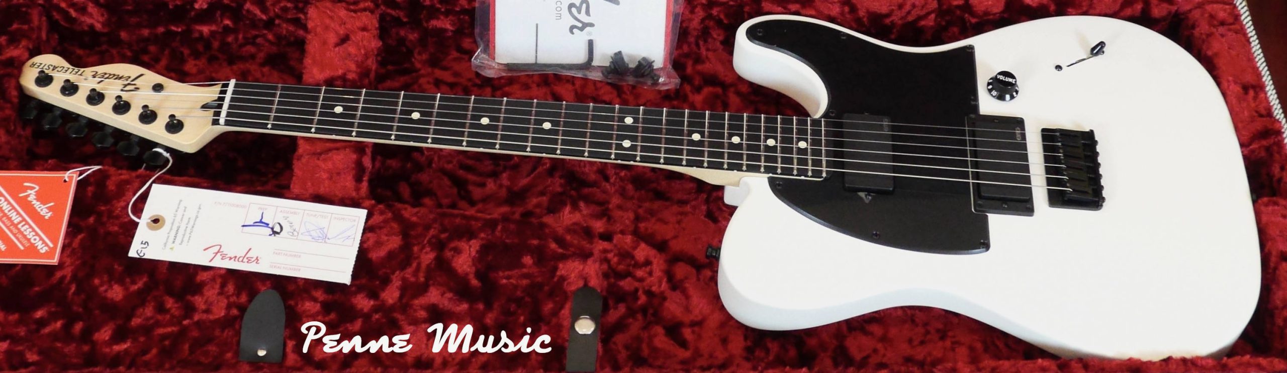 Fender Jim Root Telecaster Flat White 6