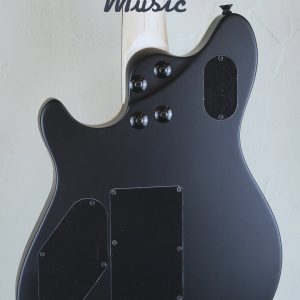 EVH Wolfgang Special Ebony Fingerboard Stealth Black 4