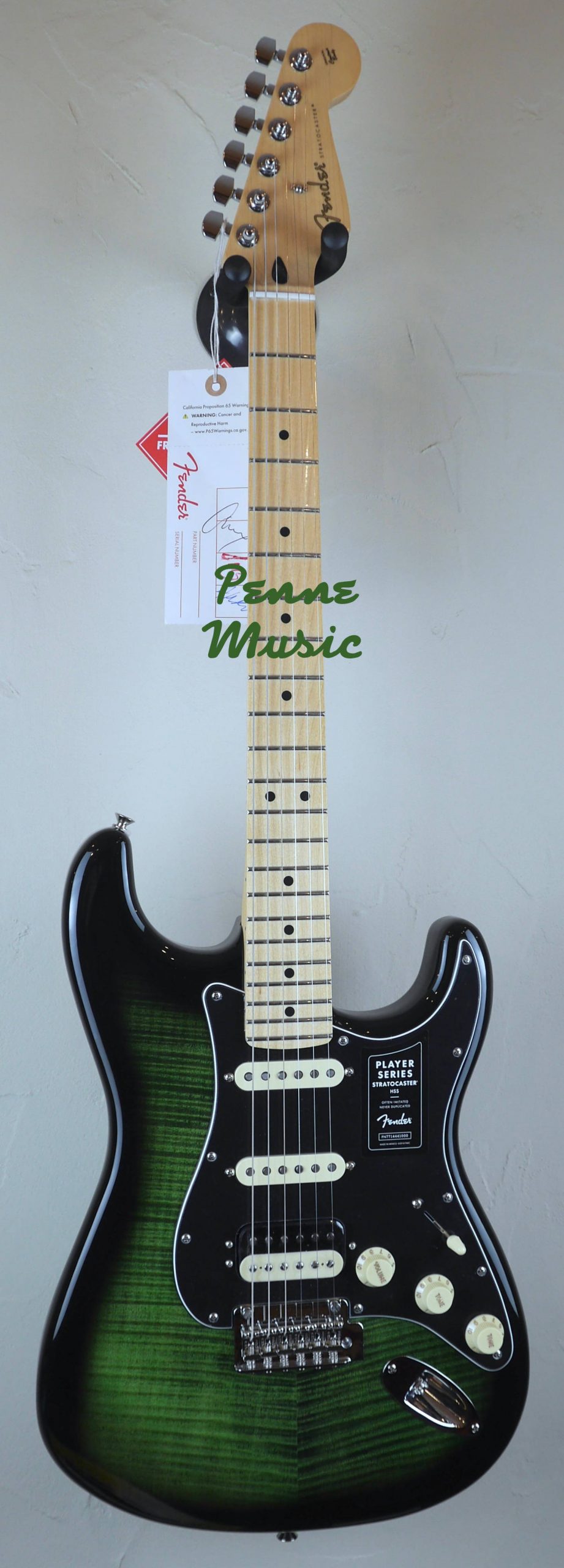 Fender Limited Edition Player Stratocaster HSS Plus Top Green Burst 1