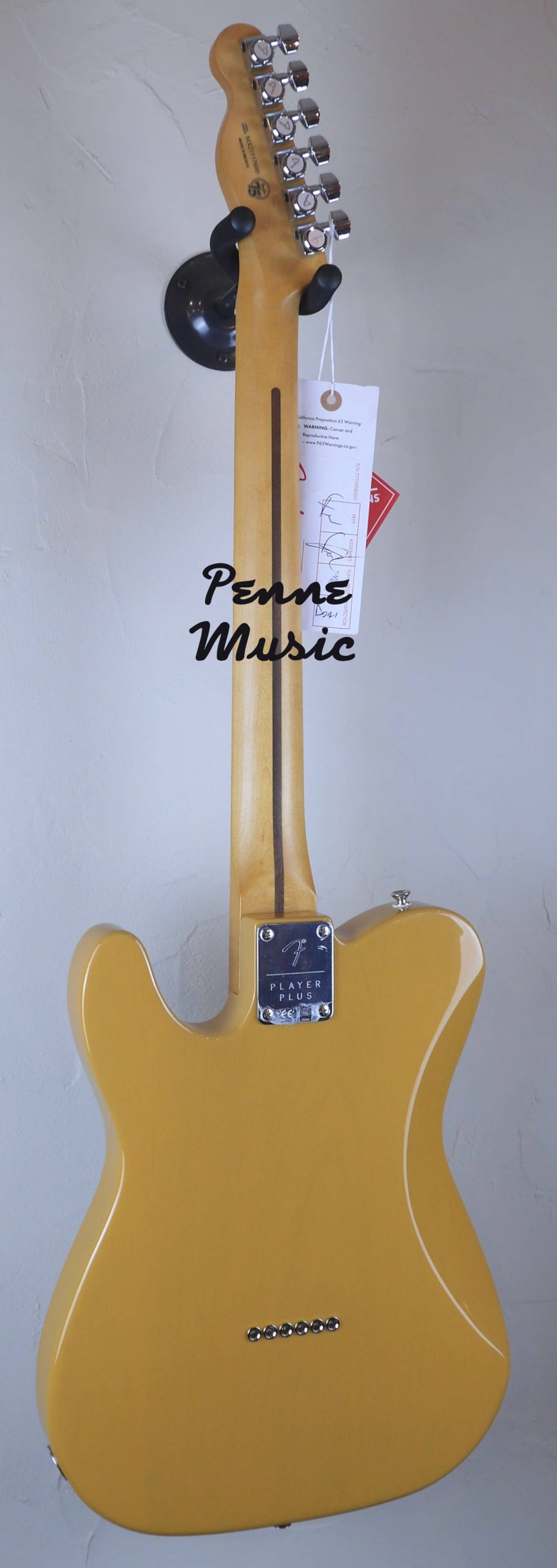 Fender Player Plus Nashville Telecaster Butterscotch Blonde 2