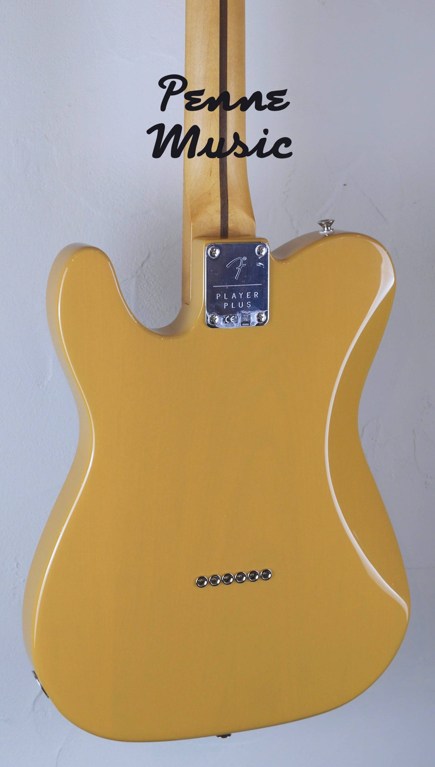 Fender Player Plus Nashville Telecaster Butterscotch Blonde 4