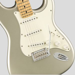 Fender Limited Edition Player Stratocaster Inca Silver 4