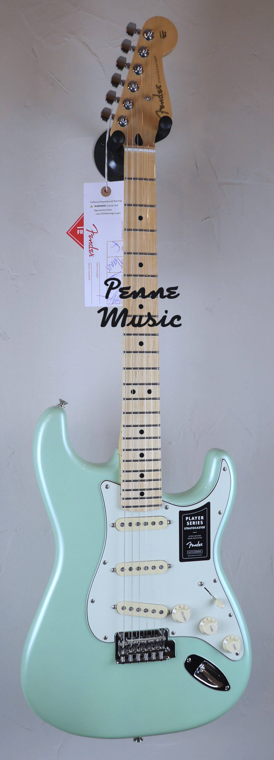 Fender Limited Edition Player Stratocaster Sea Foam Pearl 1