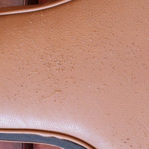 Gibson Les Paul Tribute Satin Cherry Sunburst 13/08/2019 6