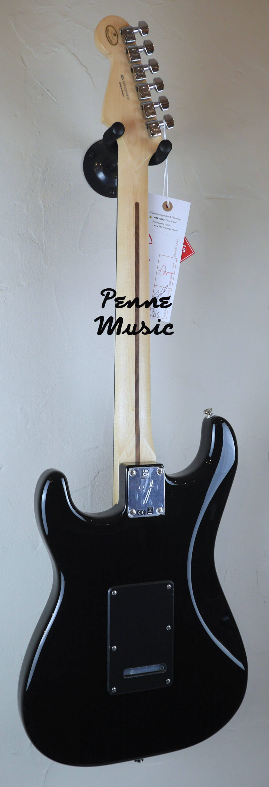 Fender Limited Edition Player Stratocaster HSS Black with Ebony Fingerboard 2