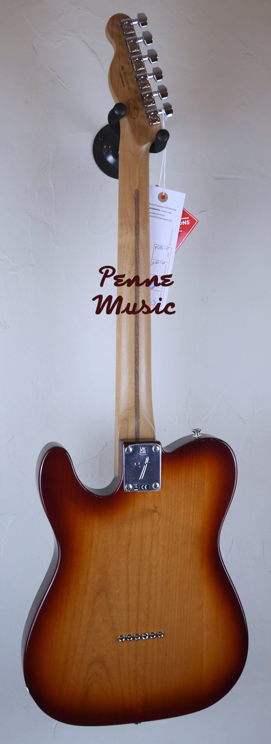 Fender Limited Edition Player Telecaster Roasted Maple Neck Sienna Sunburst 2