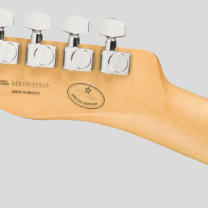 Fender Limited Edition Player Telecaster Aged Natural 6