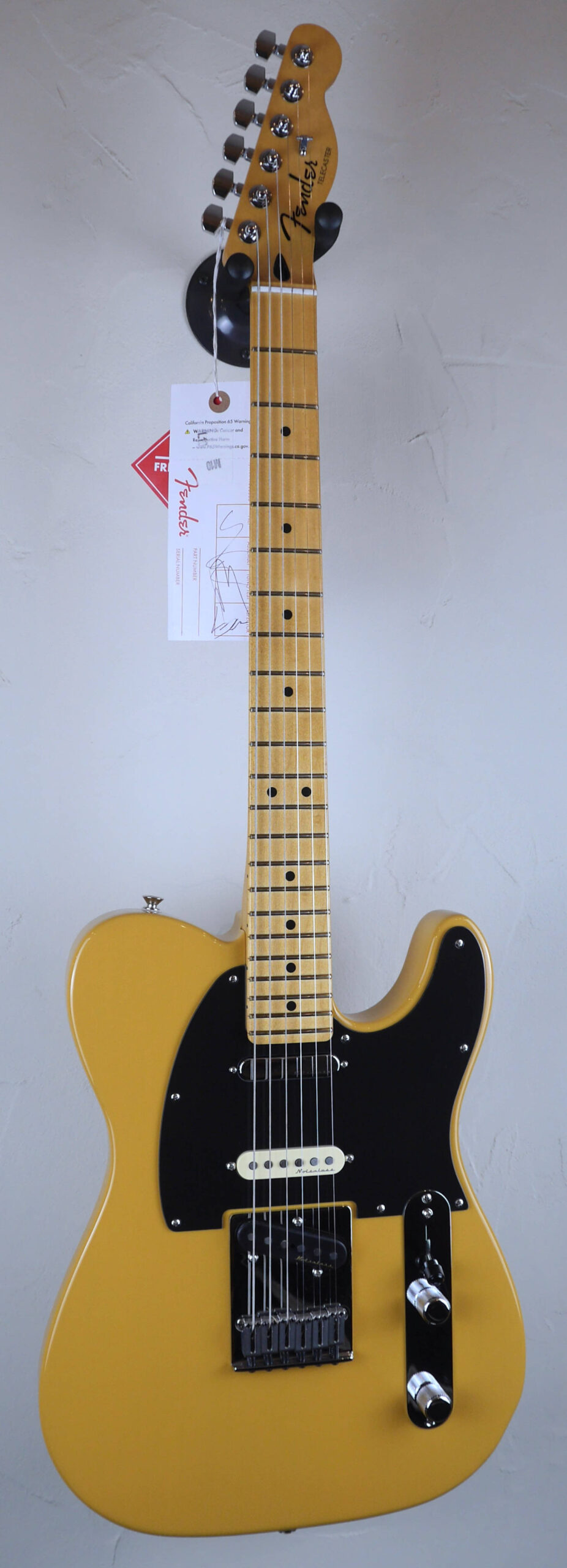 Fender Player Plus Nashville Telecaster 2022 Butterscotch Blonde 1