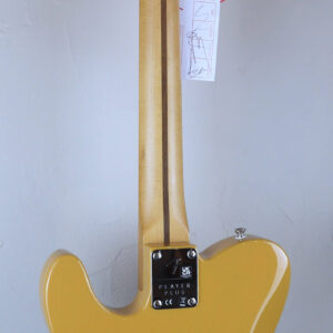 Fender Player Plus Nashville Telecaster 2022 Butterscotch Blonde 2