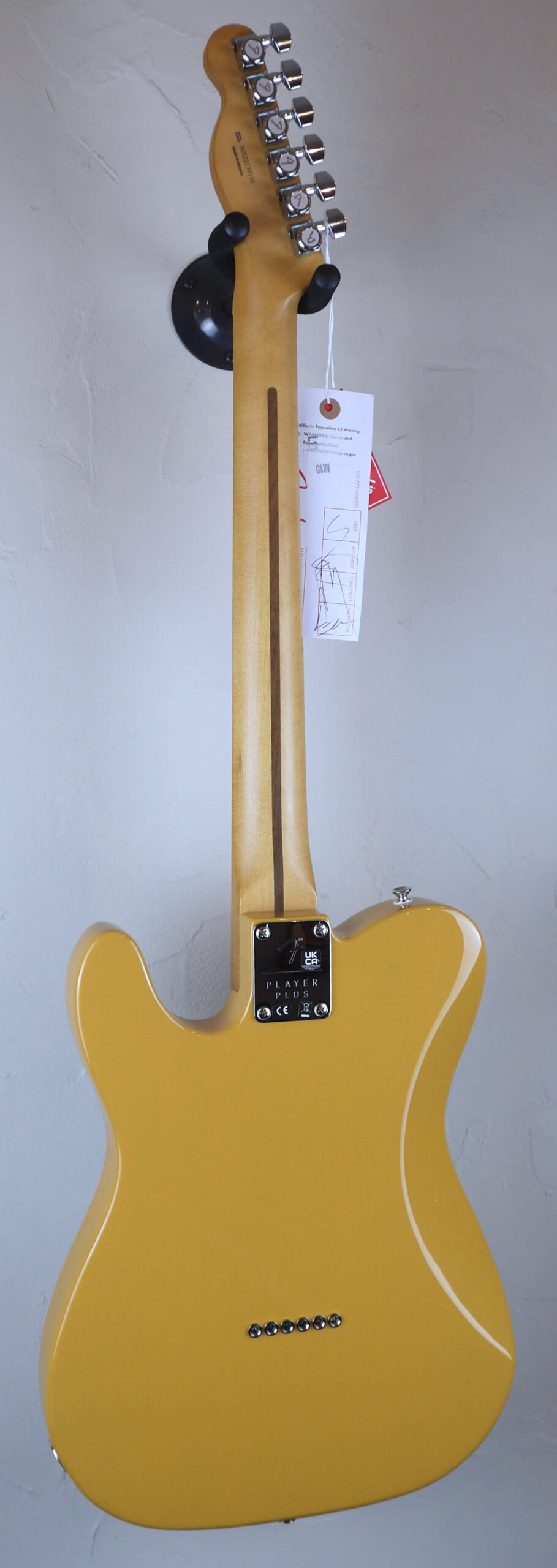 Fender Player Plus Nashville Telecaster 2022 Butterscotch Blonde 2