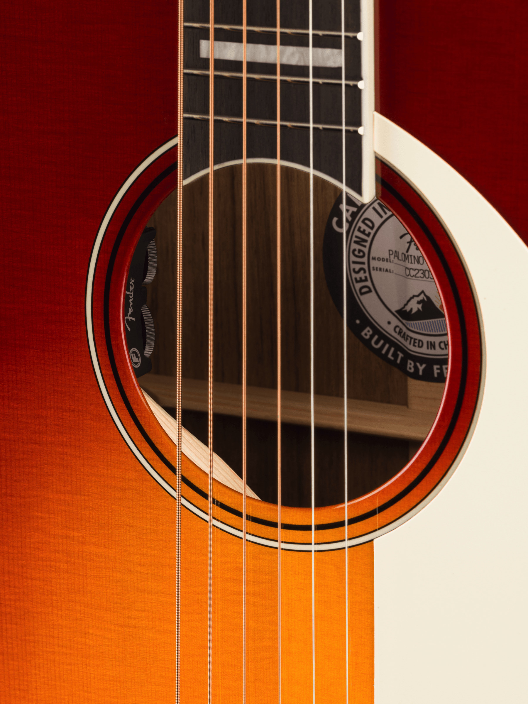 Fender Palomino Vintage Sienna Sunburst 4