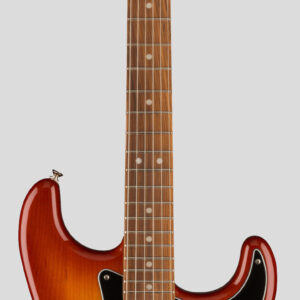 Fender Player Plus Stratocaster Sienna Sunburst 1