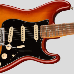 Fender Player Plus Stratocaster Sienna Sunburst 3