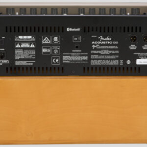 Fender Acoustic 100 6