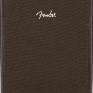 Fender Acoustic SFX II 1