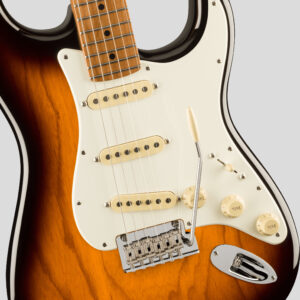 Fender Limited Edition American Professional II Stratocaster Roasted Maple Neck Anniversary 2-Color Sunburst with Custom Shop Texas Special 4