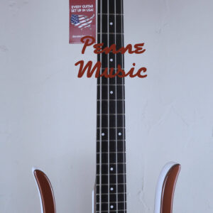 Danelectro 58 Longhorn Bass Copper Burst 1
